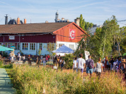 La Cité de l'Aventure : la base de loisirs gratuite pour toute la famille à la Cité Fertile cet été