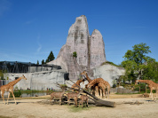 Le Parc zoologique de Paris - Zoo de Vincennes 