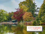 Bois de Vincennes automne
