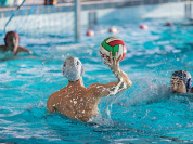 Patinoire de colombes