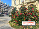 Noël Paris visuels - cadeau - sapin - Marché de Noël - cadeau de Noël - décoration - Mairie 11e