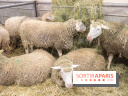 Salon de l'agriculture 2023
