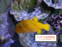Aquarium Sea Life