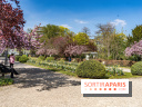 Parc de Bécon à Courbevoie - Pavillon des Indes - Cerisiers en fleurs