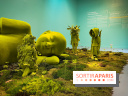 Toucher Terre : l'exposition qui nous plonge dans un monde magique à l'Espace Monte-Cristo