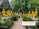 Wat Thammapatip Inrernational : la pagode bouddhiste et sa street food thaï, à Moissy-Cramayel - 799DFBFA ADED 4DAA B043 7C7B29F0B5A4
