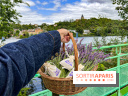 Fête de la Lavande sur le site Seine Aval Achères/Maisons-Laffitte