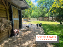 La ferme de la Villette et ses animaux