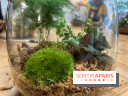 Boby la Plante