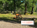 Espace Rambouillet