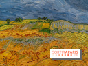 Exposition Van Gogh au Musée d’Orsay - Auvers-sur-Oise, les derniers mois