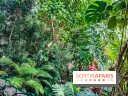 Automne Tropical 2023