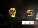 Le musée de l'Homme - collections permanentes