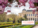 Visuel Paris 5e - jardin des plantes - museum - printemps - cerisiers