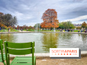 Visuel Paris 1er - jardin des Tuileries automne