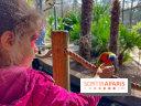 Visuels enfants, attractions, parc, Jardin d'Acclimatation, animaux, zoo