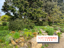 Jardin de l'Ecole du Breuil - nos photos