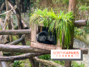 Ménagerie du Jardin des Plantes 2024 - nos photos