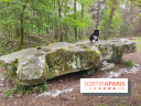 Dolmen de la Pierre Ardoue