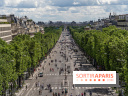 Grand pique nique des Champs-Élysées - photos  -  A7C4826