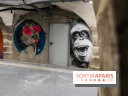 Street art : nos photos de la troisième édition de L’équipée à Paris