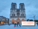 Notre-Dame de Paris - visuels - nuit
