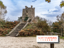 Randonnée à Fontainebleau : le sentier sur les pas de Denecourt jusqu’à la Tour Denecourt