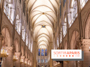 Visite de Notre-Dame de Paris