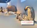 Déserts : l'exposition scientifique se dévoile au Muséum d'Histoire naturelle de Paris