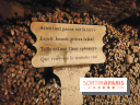 Les Catacombes de Paris - visuels