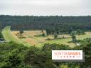 L'Hippodrome de la Solle à Fontainebleau - photos