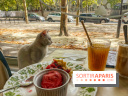 Chat-Rivari Café