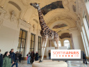 Art Basel 2025 : des installations d'art contemporain originales et gratuites à voir au Petit Palais