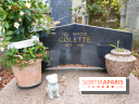 Visuels Paris - Tombe Colette
