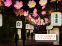 Le Japon en Lumières : le parcours lumineux et festival des lanternes 2025 du Jardin d'Acclimatation