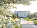 Les floraisons exceptionnelles du Jardin des Plantes 2026 : tulipes, coquelicots et cerisiers - photos