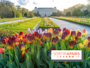 Les floraisons exceptionnelles du Jardin des Plantes 2026 : tulipes, coquelicots et cerisiers - photos - A7C00618