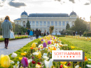 Les floraisons exceptionnelles du Jardin des Plantes 2026 : tulipes, coquelicots et cerisiers - photos