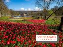 Les tulipes du Château de Dampierre, son jardin anglais et le jardin Le Nôtre