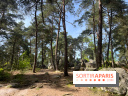 Escalade en Forêt de Fontainebleau - nos photos