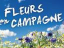 Fleurs en Campagne à Bagatelle