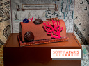 Les bûches de Noël 2024 de Jean-Paul Hévin, le maitre du chocolat : bûche corail