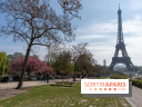 Les cerisiers du Trocadéro fleurissent avec de l'avance en ce printemps 2026