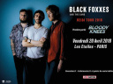 Black Foxxes en concert aux Etoiles à Paris en avril 2018