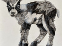 La rentrée du Street Art : la nouvelle expo signée Urban Signature à Paris