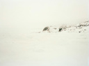 Michael Schnabel & Ursula Kraft : Recent Works