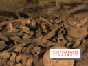Les Catacombes de Paris