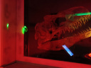 T.Rex Mission : l'escape game avec plein de dinosaures chez Escape Lab
