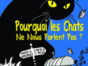 Pourquoi les chats ne nous parlent pas à la Baleine Blanche