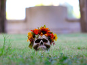 Día de Muertos 2023 : Histoire et origine de la fête mexicaine